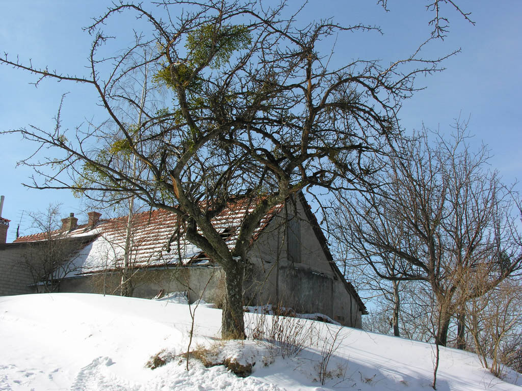 Hiša, takoj po zapuščini