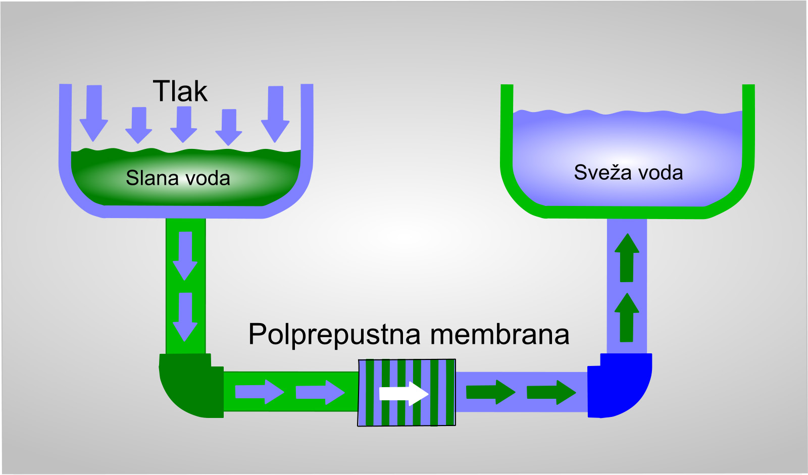 Polprepustna membrana -