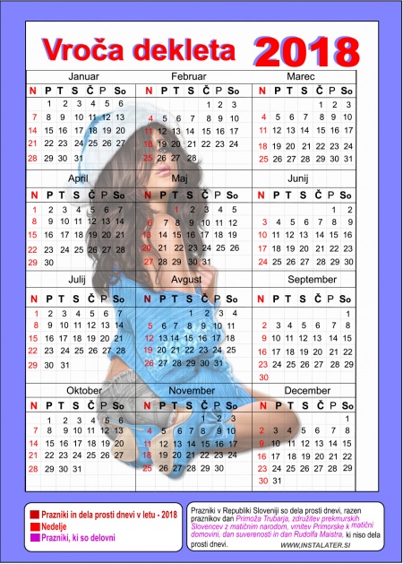 Vroča dekleta - koledar 2018