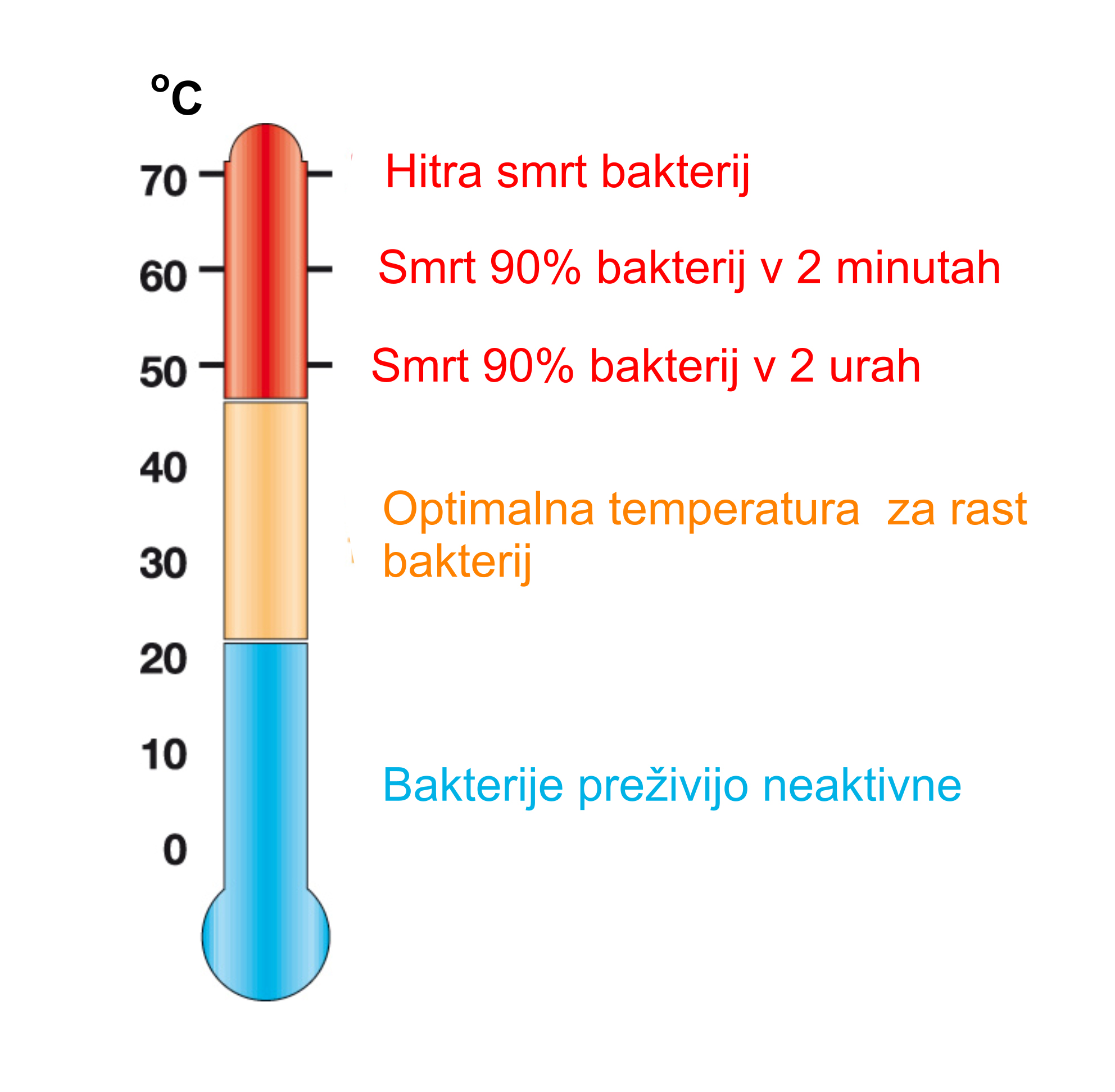 Temperature za nastanek bakterij